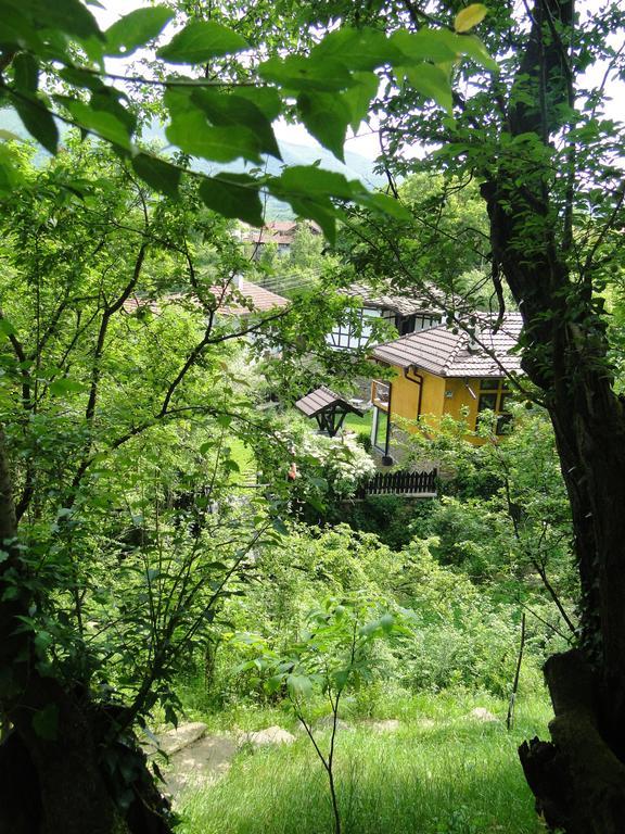 Hotel Countryside Houses Golets Zewnętrze zdjęcie